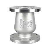 DRVZ Nozzle Check Valve