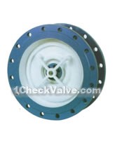 Oversized silent check valves(pic1)